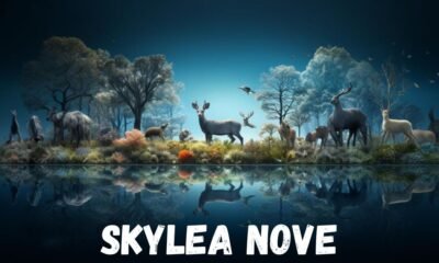 skylea nove