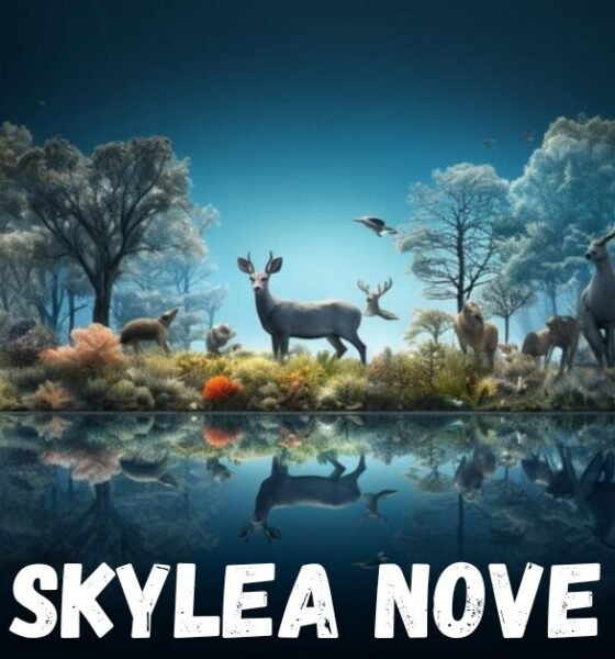 skylea nove