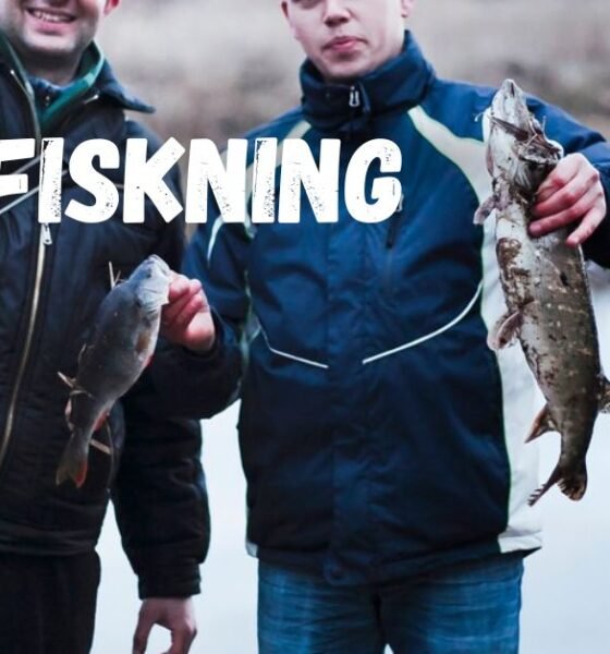 fiskning