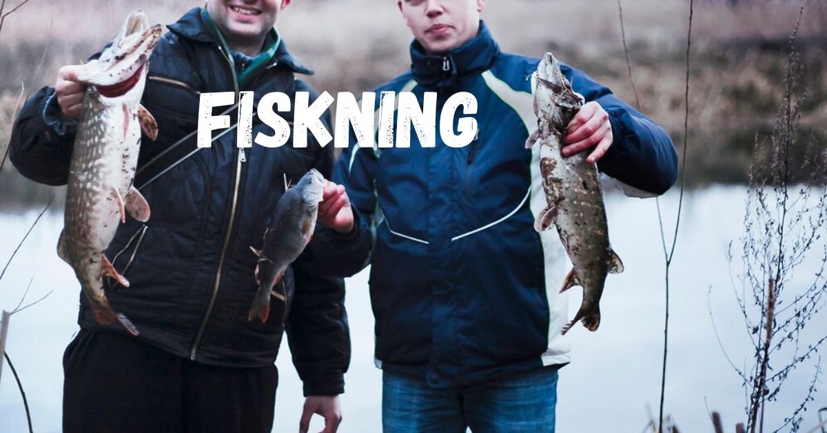 fiskning